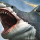I’m a shark!!! I’m a SHAAAARK! Suck my diiiiiick!! I’M A SHAAARK!!